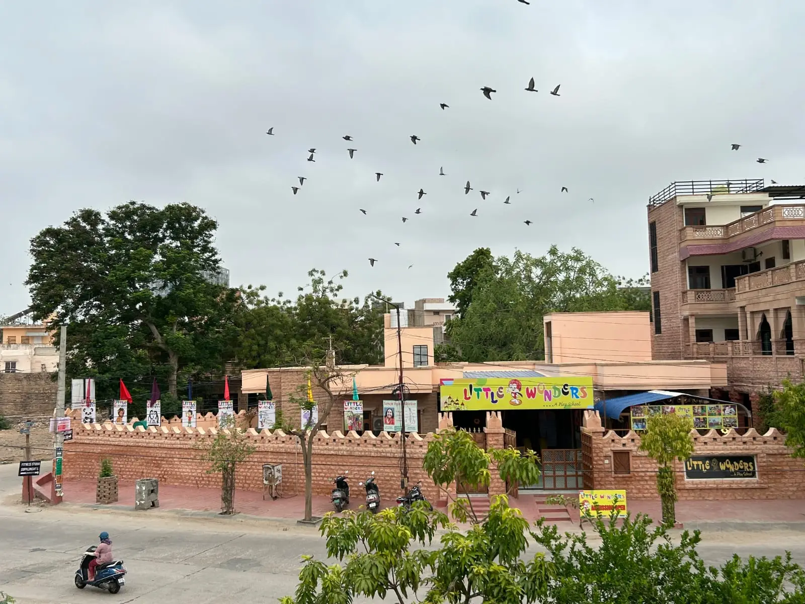 whatsapp image 2025 10 29 at 18.53.31 copy